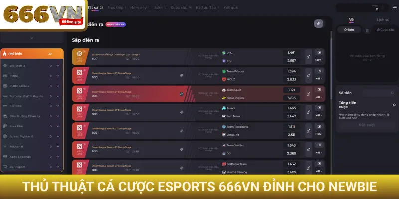 Thủ thuật cá cược Esports 666VN đỉnh cho newbie