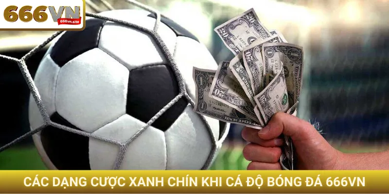 Cá độ bóng đá 666VN - Cơ hội kiếm tiền thật trong mùa giải 1 Các dạng cược xanh chín khi cá độ bóng đá 666VN