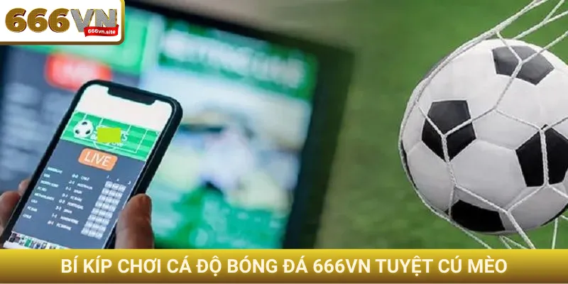 Cá độ bóng đá 666VN - Cơ hội kiếm tiền thật trong mùa giải 3 Bí kíp chơi cá độ bóng đá 666VN tuyệt cú mèo