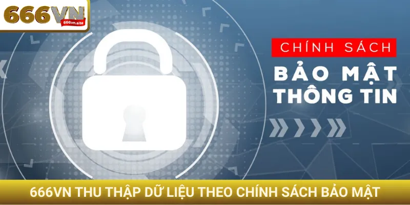 666VN thu thập dữ liệu theo chính sách bảo mật