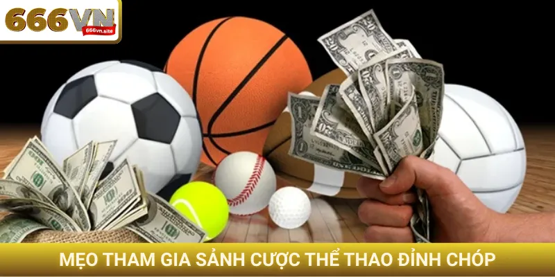 Mẹo tham gia sảnh cược thể thao đỉnh chóp