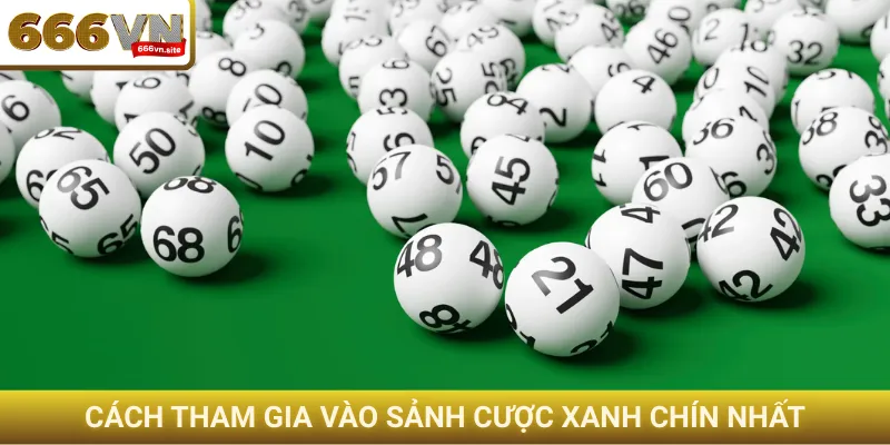 Cách tham gia vào sảnh cược xanh chín nhất